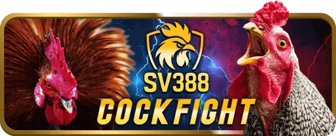 Hình ảnh tiền thưởng hoàn trả cho các cược thể thao tại 66club
